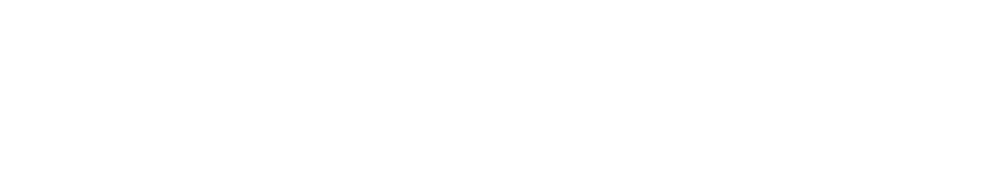 BER SERVICES
