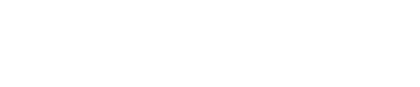 Professional Services