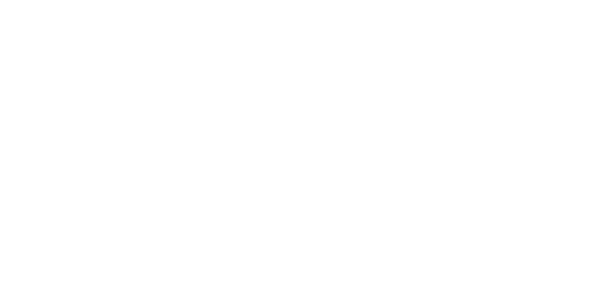 BER offers professional services to assist our clients in offering the technical services of their businesses  These    